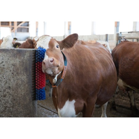 Kubørste for veggmontering...