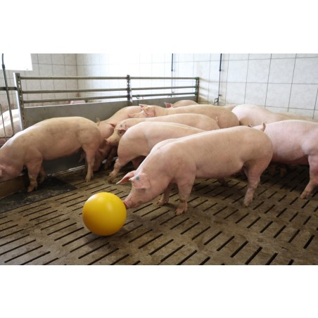 Anti-Stress ball, Ø 30 cm, pkn/eske...